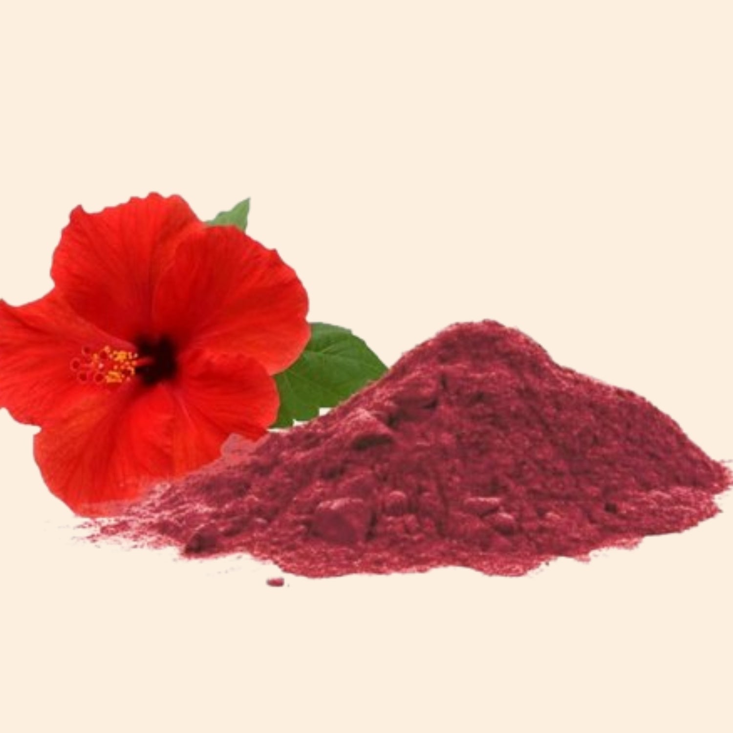 Hibiscus Powder Hibiscus Powder